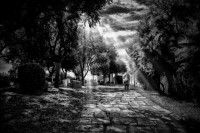 /album/fotogaleria-fotos-b-n/d-640x480-jpg2/